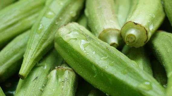 Lady Finger (Okra Plant, Bhindi )