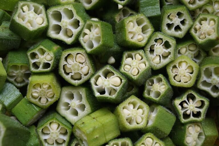 Lady Finger (Okra Plant, Bhindi )