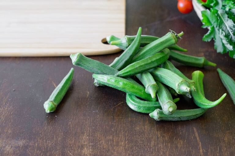Lady Finger (Okra Plant, Bhindi )