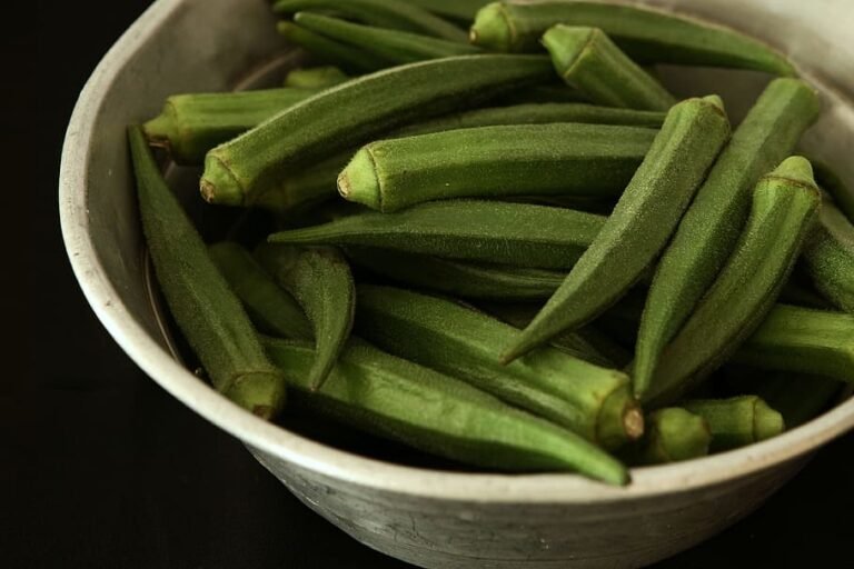 Lady Finger (Okra Plant, Bhindi )
