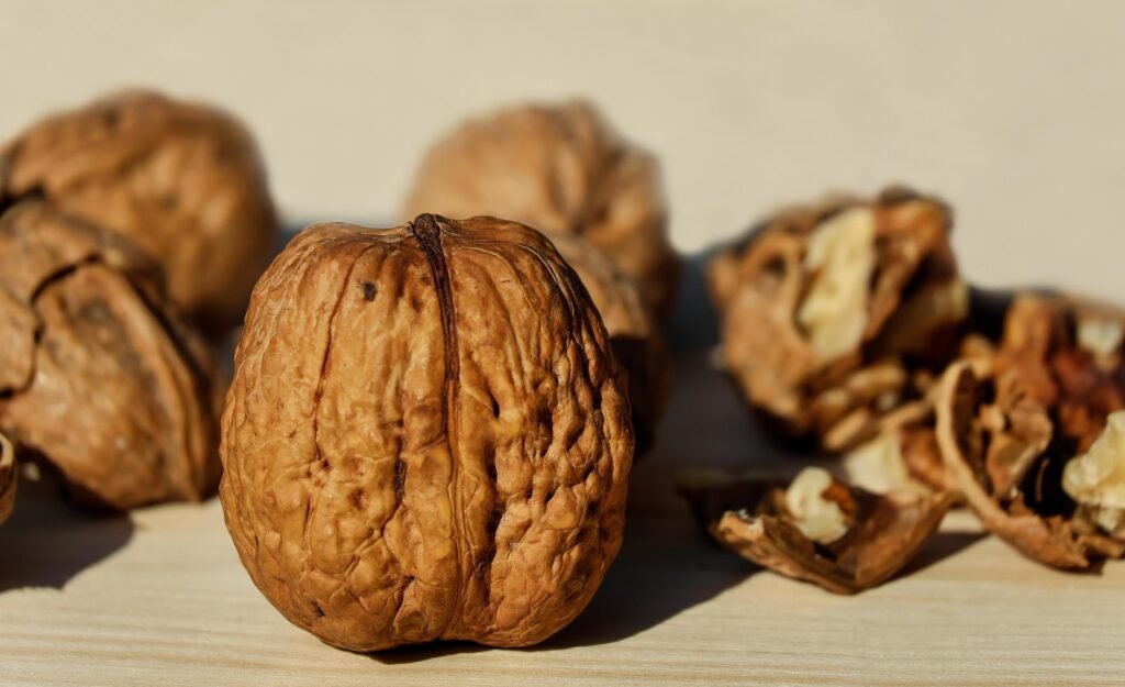 All About Walnut (Juglans regia Linn) | अखरोट की पूरी जानकारी : Benefits, Uses, Nutrition & Botanical Information